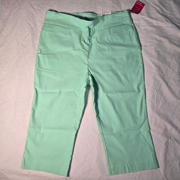 Kim Rogers Pants - Kim Rogers Capri Pants 16P Mint Green Millennium Capri Tummy Control Pull On NWT